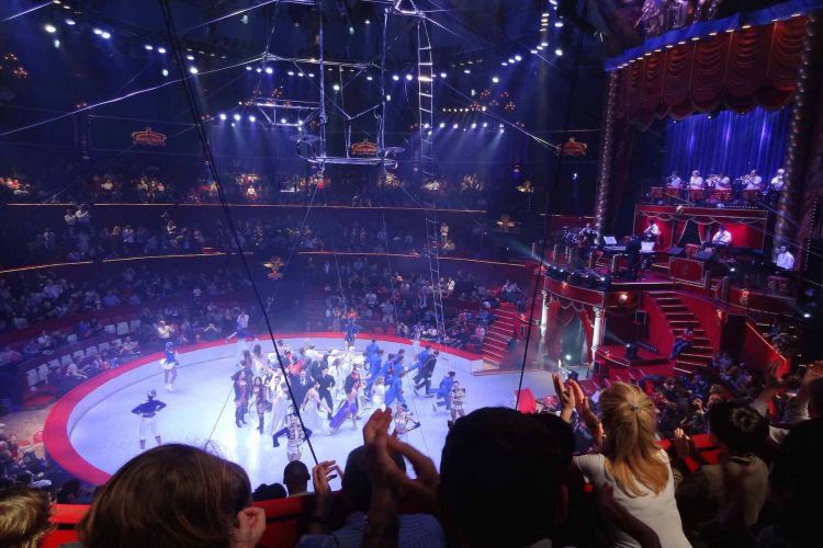 Wo können Sie Zirkus-Shows in Paris sehen?